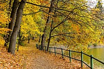 Podzim, strom, listí