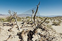 Údolí smrti, Death valley, USA