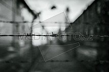 Ostnatý drát, Koncentrační tábor Auschwitz I, Osvětim