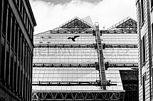 budova, pták, sklo, Glasgow