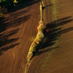 2013-10-22-csa_7733
