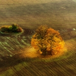 2013-10-22-csa_7785