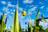 2015-07-30-07-40-41-CSB_2306