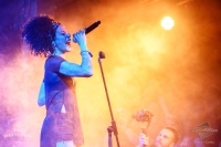 2019-11-16-22-32-25-CZ7_4919